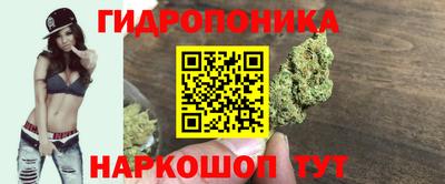 эйфоретик Бузулук